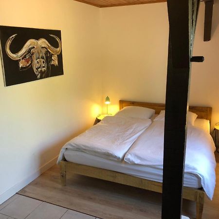 Villa Orcas Леон Екстериор снимка