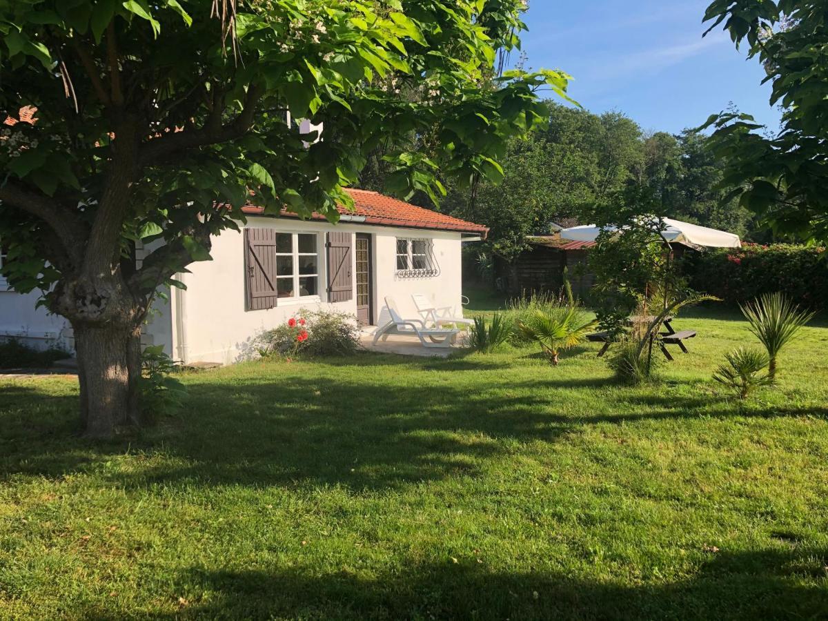 Villa Orcas Леон Екстериор снимка