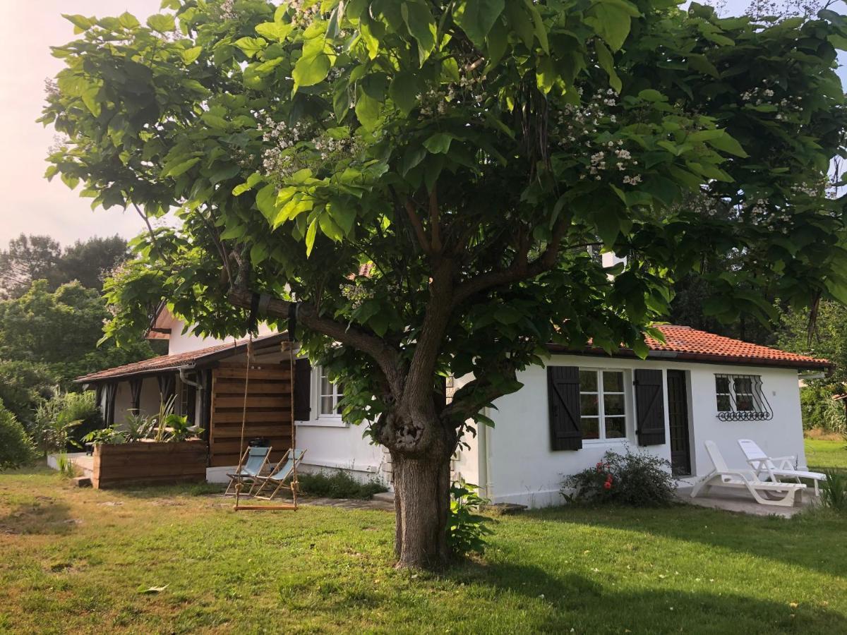 Villa Orcas Леон Екстериор снимка