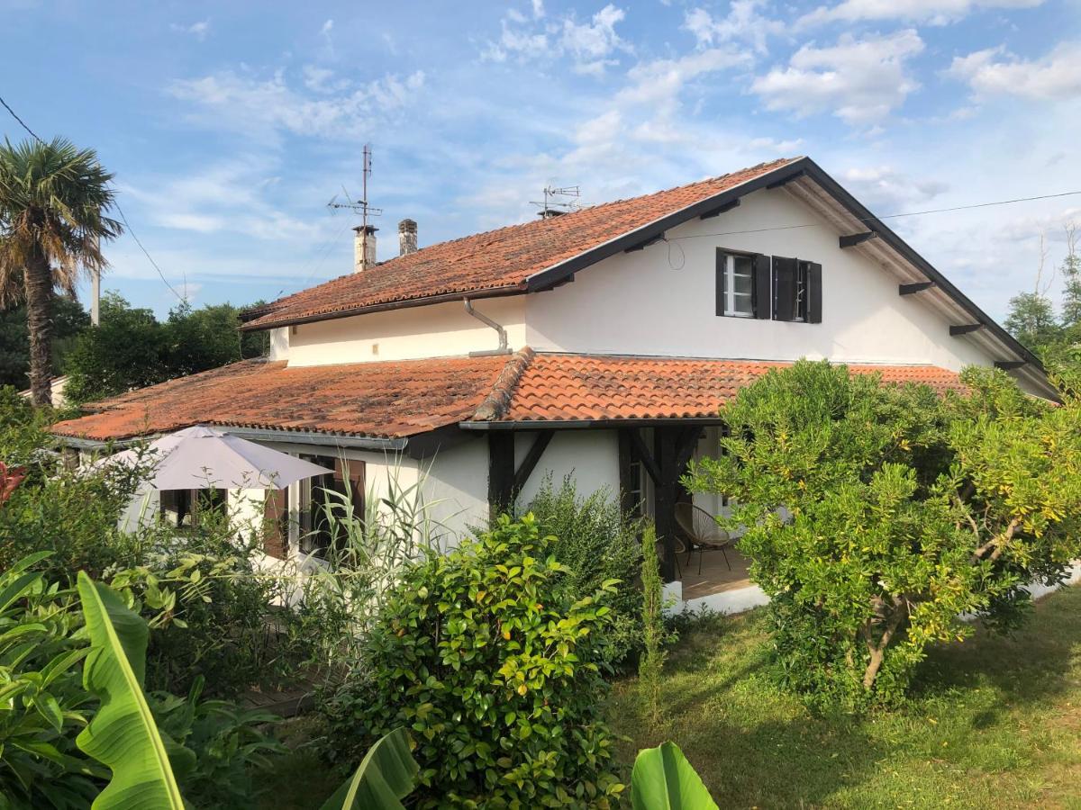Villa Orcas Леон Екстериор снимка